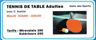 Tennis de table 2027